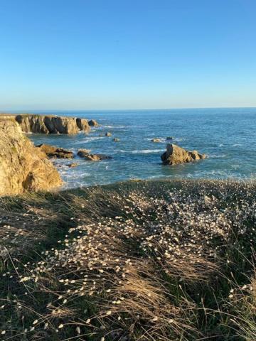 Studio Agreable 300M Cote Sauvage Le Pouliguen Exterior foto